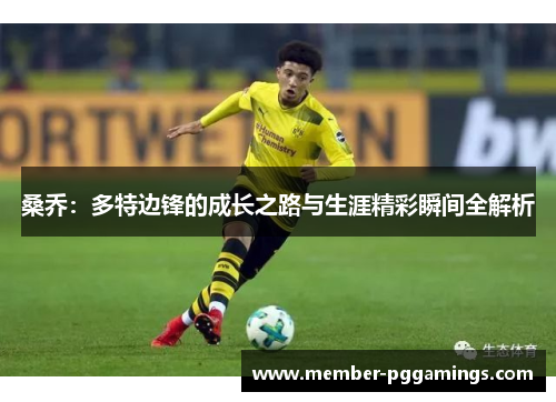 桑乔：多特边锋的成长之路与生涯精彩瞬间全解析